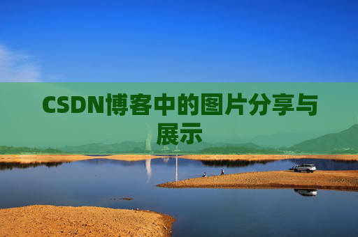 CSDN博客中的图片分享与展示